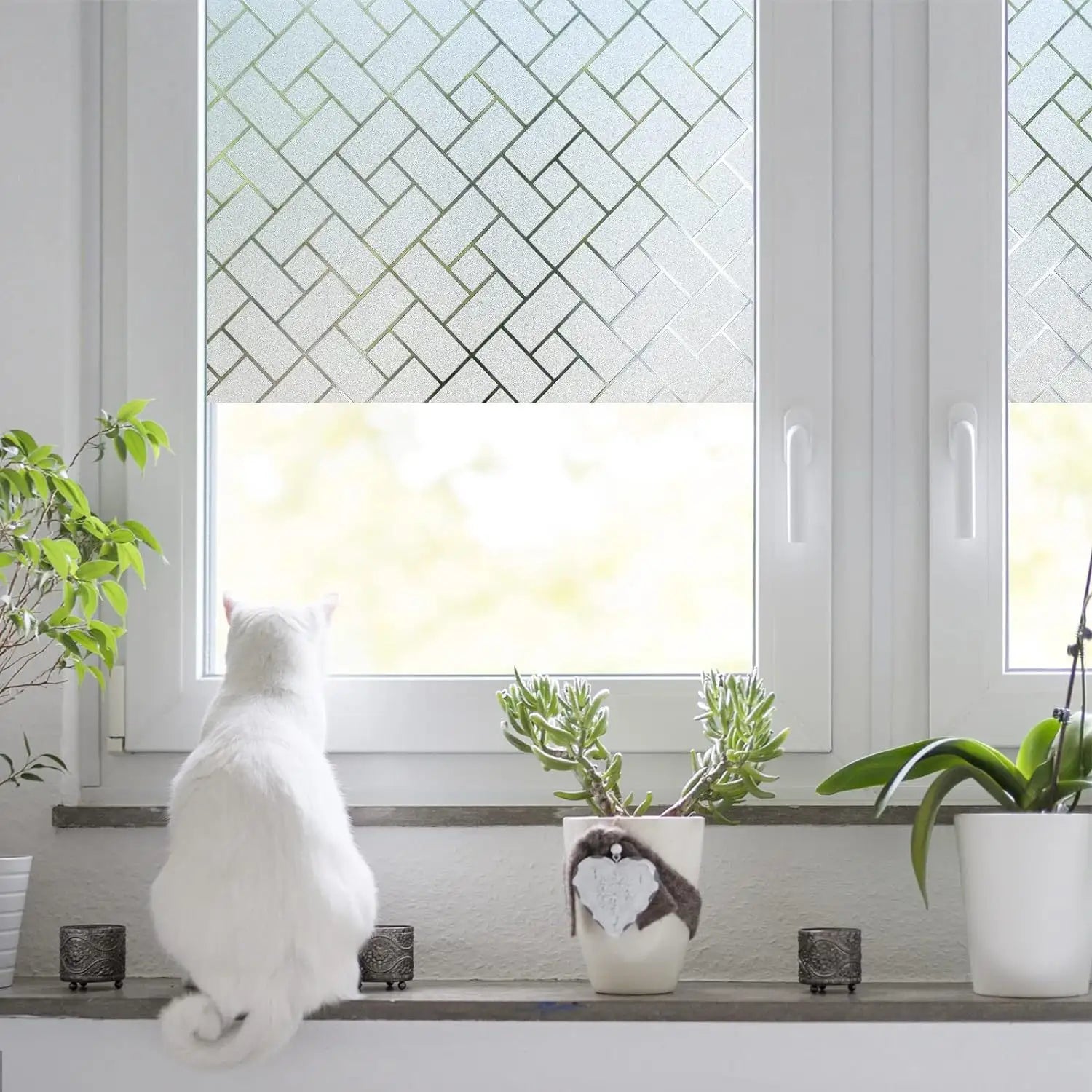Rectangle frosted window film India RSH